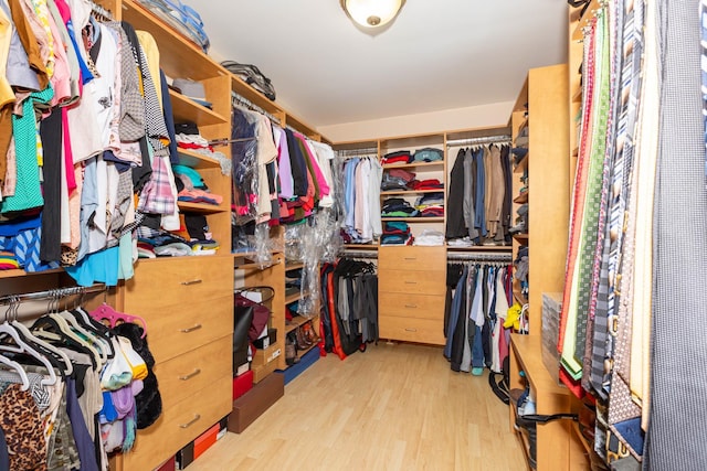 walk in closet with light wood-type flooring