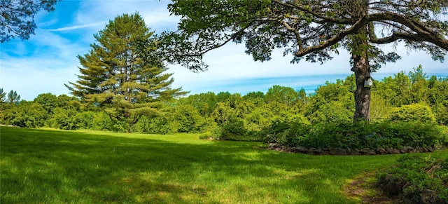 94 S Quaker Hill Rd, Pawling, NY 12564 - view of grassy yard featuring a forest view