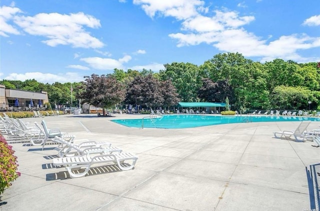 view of swimming pool with a patio