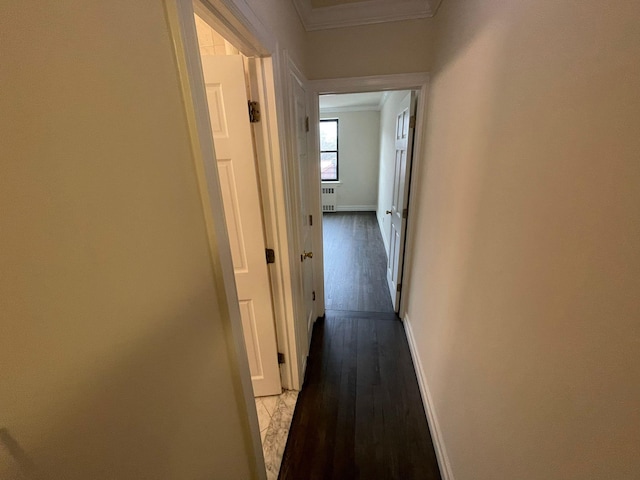 hall with radiator, light hardwood / wood-style flooring, and ornamental molding