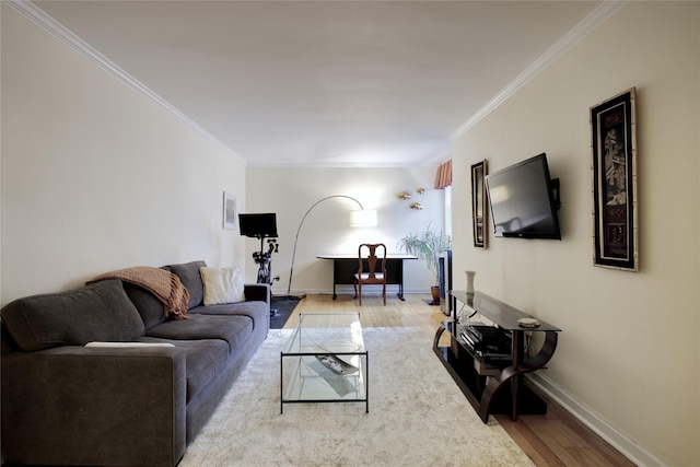 living room featuring light wood-type flooring and crown molding