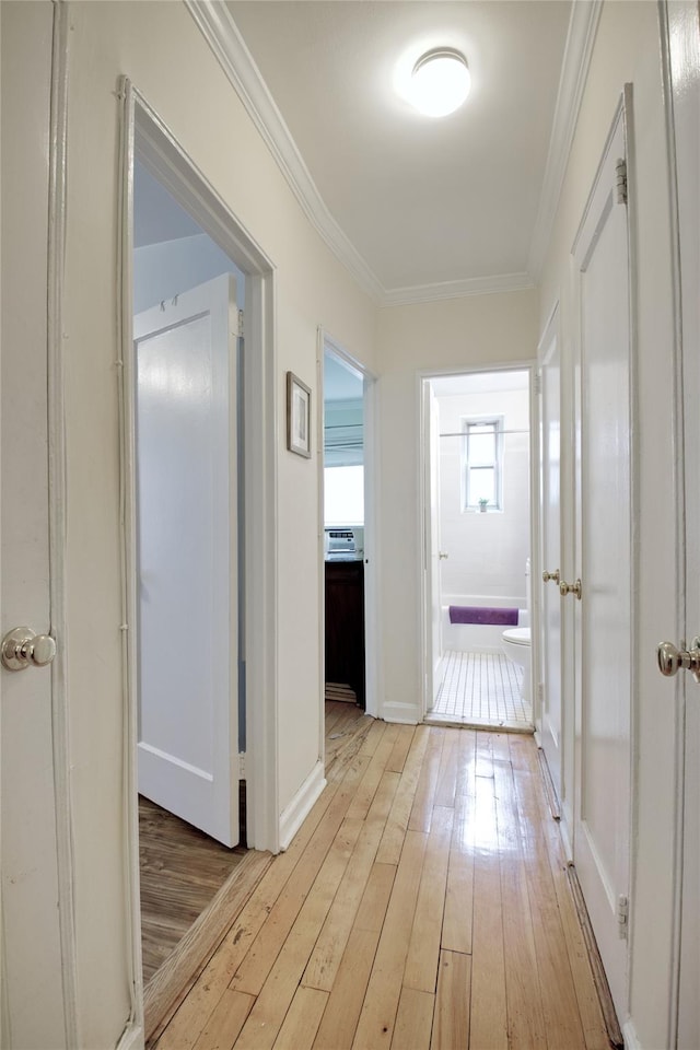 hallway with light hardwood / wood-style flooring and ornamental molding