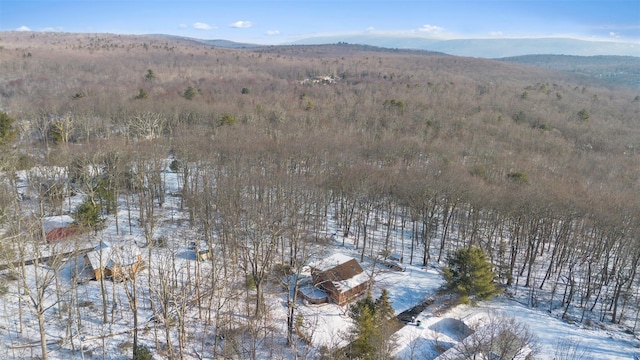 snowy aerial view featuring a mountain view