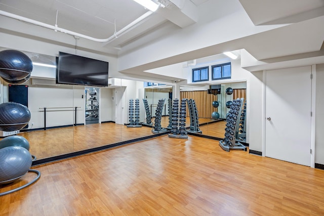 exercise room featuring wood-type flooring