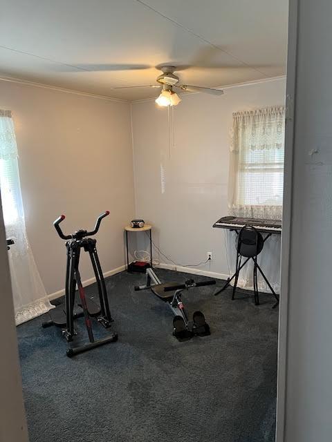 exercise area with crown molding and ceiling fan