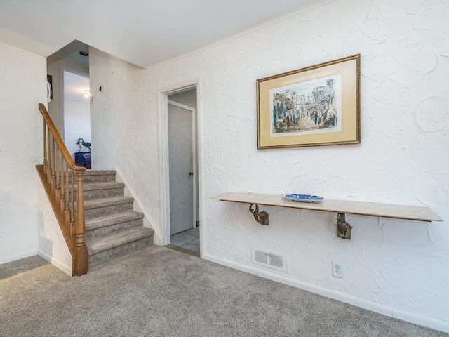 stairway featuring carpet flooring