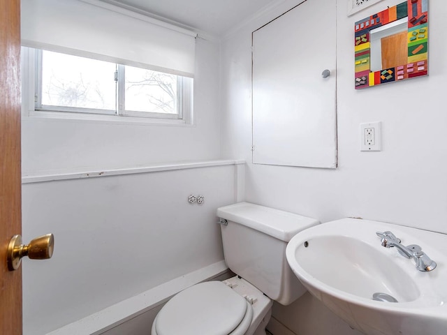 bathroom featuring sink and toilet