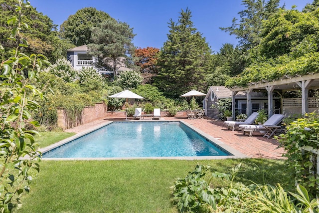 view of swimming pool with a patio and a yard