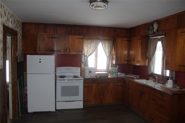 kitchen featuring sink, white appliances, and dark hardwood / wood-style flooring