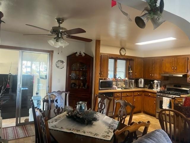 kitchen featuring sink, stainless steel appliances, and ceiling fan