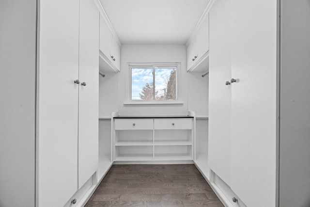 walk in closet with dark hardwood / wood-style floors