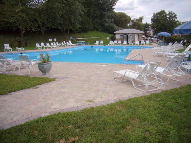 view of pool with a yard and a patio