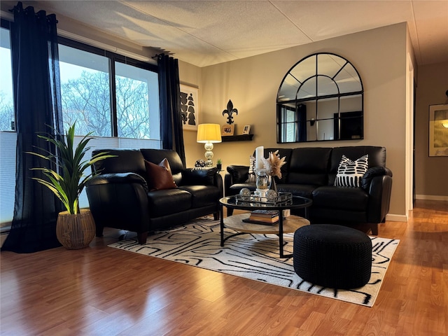 living room with hardwood / wood-style floors and a textured ceiling