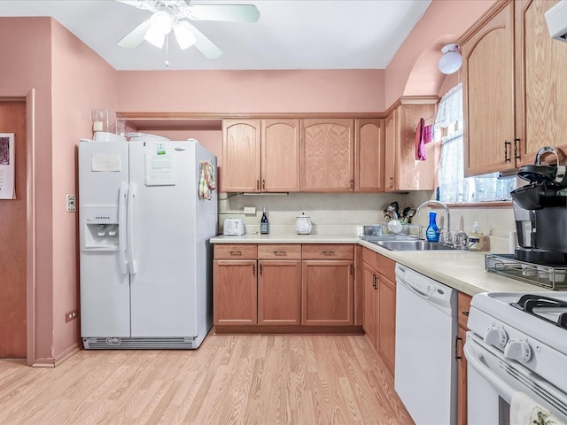 kitchen with sink, white appliances, light hardwood / wood-style flooring, light brown cabinets, and ceiling fan