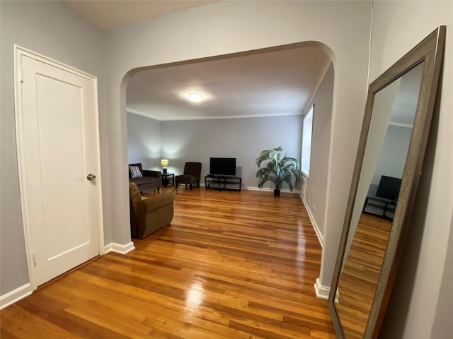 living room featuring wood-type flooring