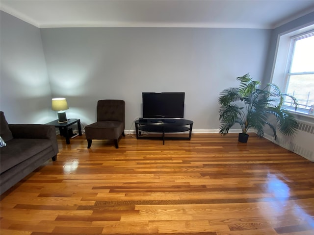 sitting room with ornamental molding and light hardwood / wood-style floors