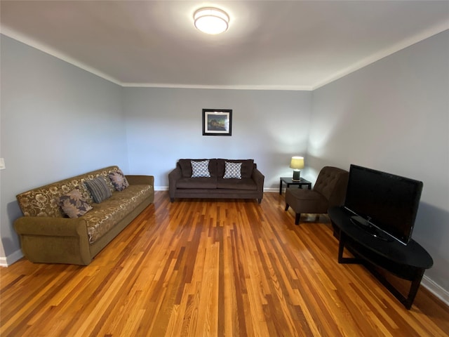 living room featuring wood-type flooring