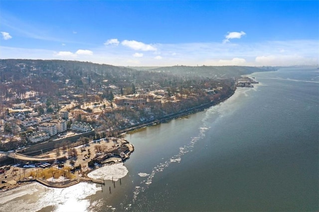 birds eye view of property featuring a water view