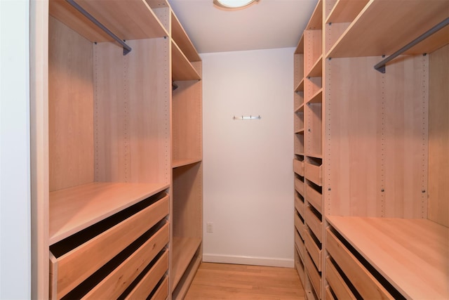 walk in closet with light hardwood / wood-style flooring