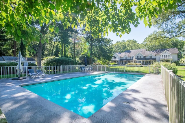 view of pool with a patio area