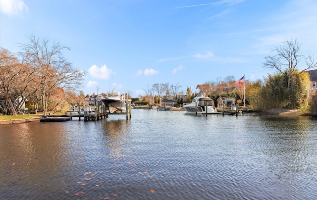 dock area with a water view