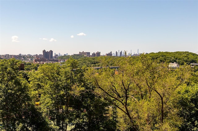 view of local wilderness