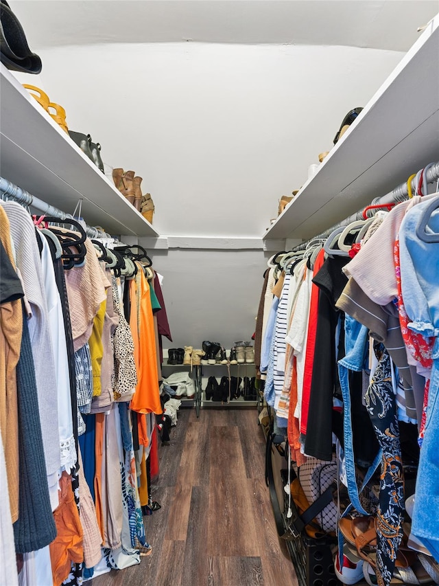 walk in closet featuring dark hardwood / wood-style floors