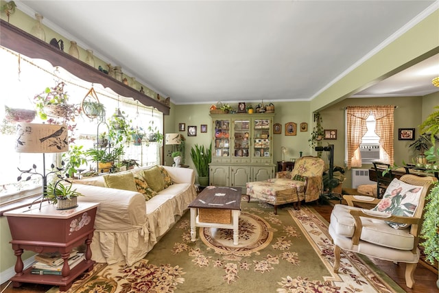 living room featuring radiator and ornamental molding