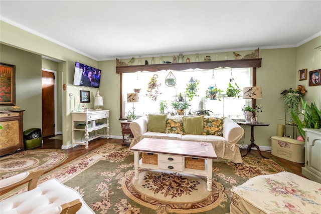 living room with a wealth of natural light, dark hardwood / wood-style flooring, and crown molding