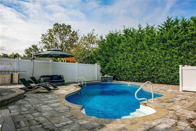 view of pool with a patio area and outdoor lounge area