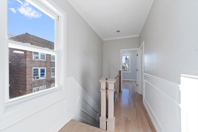 corridor featuring crown molding and light hardwood / wood-style floors