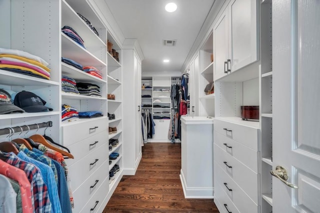 spacious closet with dark wood-type flooring