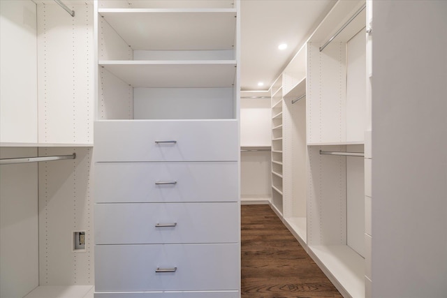 spacious closet featuring dark hardwood / wood-style flooring