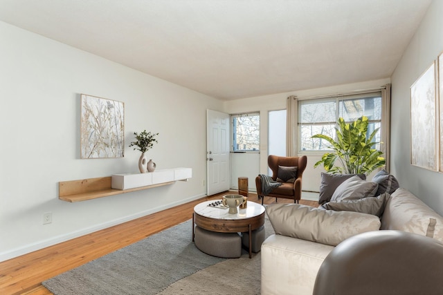 living room featuring hardwood / wood-style flooring