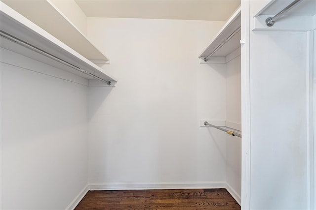 spacious closet featuring dark hardwood / wood-style floors