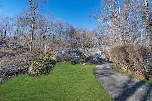 view of front of house with a front yard