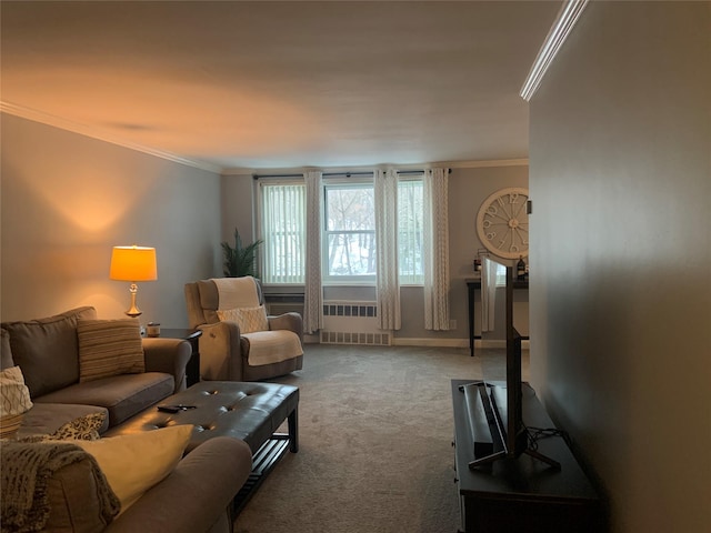 carpeted living room with crown molding and radiator heating unit