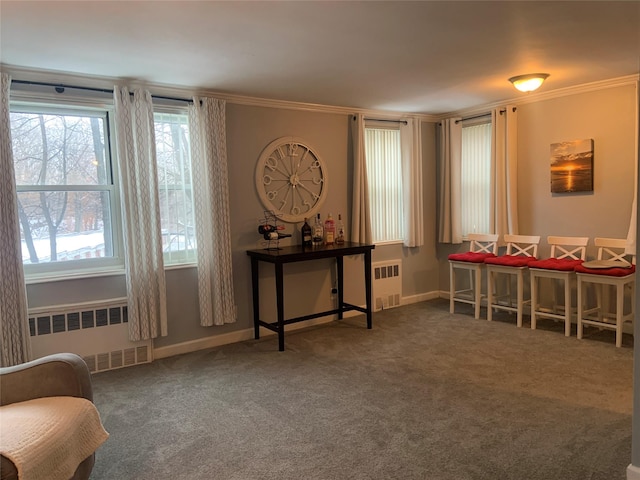 living area with ornamental molding, carpet flooring, and radiator