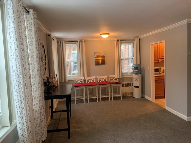 carpeted dining space featuring radiator and ornamental molding