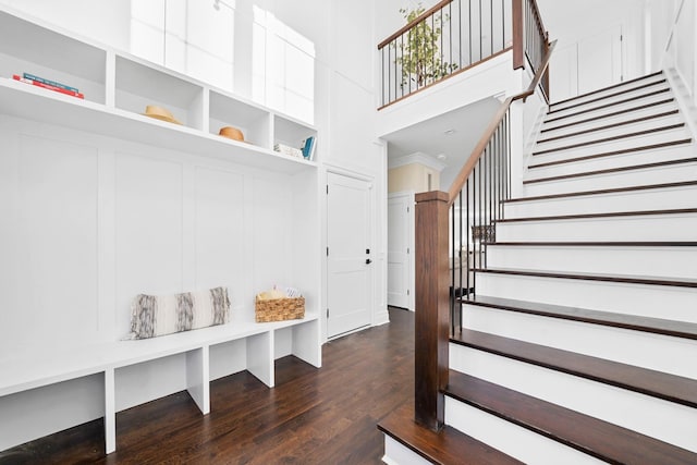 mudroom featuring dark wood-type flooring and a high ceiling