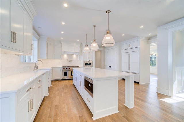 kitchen with a sink, light wood finished floors, white cabinetry, and premium appliances