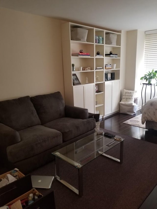 living room with dark hardwood / wood-style flooring