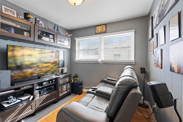 cinema with light hardwood / wood-style floors and a baseboard heating unit