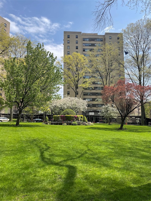 view of community with a lawn