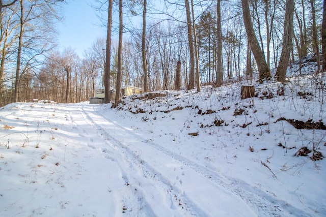 view of snowy yard