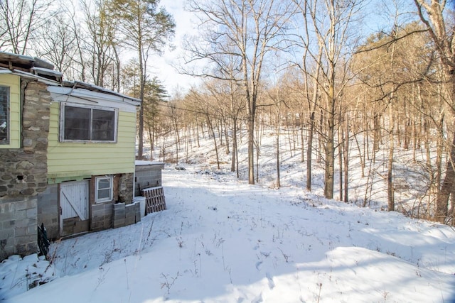 view of yard covered in snow