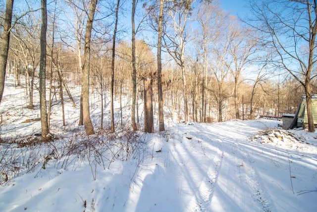 view of yard covered in snow