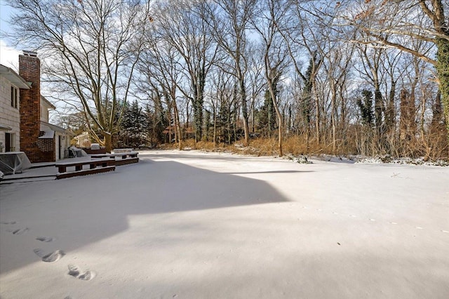 view of yard covered in snow