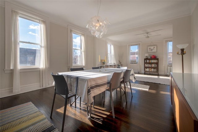 dining space featuring radiator, a wealth of natural light, and dark hardwood / wood-style flooring