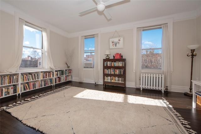 living area with crown molding, radiator heating unit, dark hardwood / wood-style floors, and ceiling fan